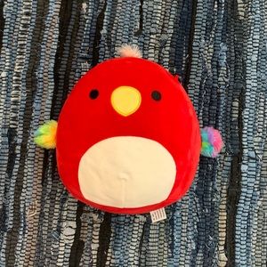 Paco The Parrot Squishmallow